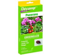 Traitement par Coccinelles - DECAMP' - Pucerons - Protection Laurier rose Potager - 50 larves ou 100 œufs