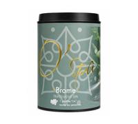 Traitement SPA brome lent OCEDIS O'Spa pastilles 20g