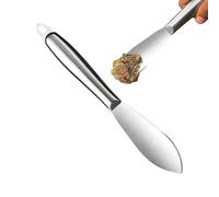 Transplantoir de Jardin Pelle Plate Robuste en Acier Inoxydable