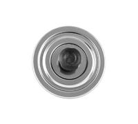 Trappe de visite pour mazout et gaz - simple paroi - Schiedel PRIMA PLUS 113 mm