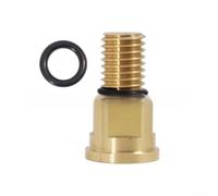 Trayneel Connecteur de valve de libération d'air de rechange R0357200 pour filtres Zodiac et Spa en plastique et cuivre, installation facile, 2 pièces, noir (doré)