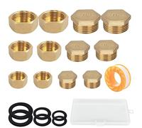 TREABEAR Set 12 Pièces Bouchon radiateur laiton male + femelle 12/17 15/21 20/27, accessoires de plomberie avec boîte de rangement