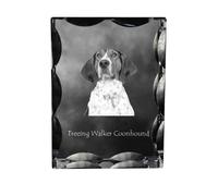 Treeing Walker Coonhound - cristal avec photo du chien, statuette en verre avec photo, cadre unique avec photo de la marque Art-Dog
