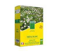 Trèfle Blanc - BHS - 500 m² Favorise la biodiversité s’adapte à tous types de sols et résiste au piétinement.