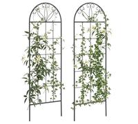 Treillis de jardin - Outsunny - lot de 2 supports pour plantes grimpantes aménagement - métal - 51x152cm - noir