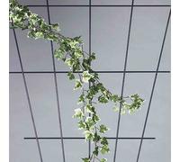 Treillis de roses 61000 150x75 cm marron