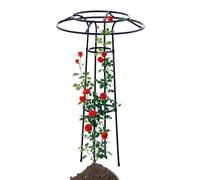 Treillis d'extérieur pour l'extérieur - Cadre de support de fleurs en forme de parasol - Grille de support pour fleurs et tuteurs - Pour jardin, parterre surélevée, terrasse, balcon, terrasse, etc