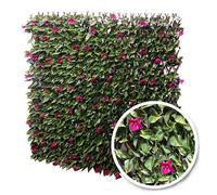 Treillis extensible Bougainvilliers : 1m x 2m