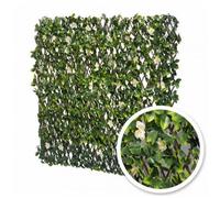 Treillis extensible Jasmin Fleuri : 1m x 2m