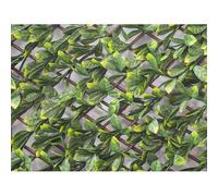 Treillis Extensible Laurier Amande 2 M (2 Treillis De 1 X 2 M) - Jardideco Vert