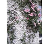 Treillis extensible plastique blanc - 100x200cm - Nature - S’adapte en largeur - Set de fixation