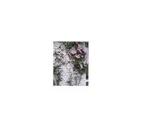 Treillis extensible plastique vert - 100x200cm