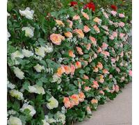 Treillis extensible réglable conçu pour les arrangements floraux artificiels sur les murs de jardin avec flexible pour la compatibilité des feuilles et du bois ()