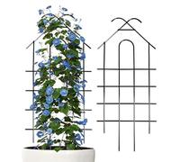 Treillis métallique 2 pièces Cadre de support métallique pour vignes | Ardoise pour raisins de 52 cm de hauteur pour intérieur porte entrée concombre tomate vigne rose Monstera Potos