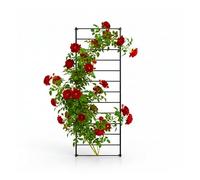 Treillis Mural Relaxdays, Lot de 1, H x L : 210 x 76 cm, Support Plantes grimpantes, Fixation Murale, Acier, Noir