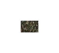 Treillis Osier Extensible A Feuilles 1x2m Vert