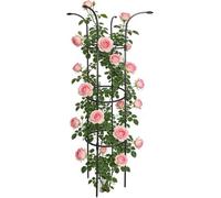 Treillis pour D'extérieur | Supports De Vigne Décoratifs Stables - Support Cage pour Parapluie