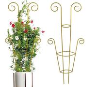 Treillis Pour D'Intérieur Support Métallique À Grimpantes | Tuteurs Pour Clématites En Métal Pour Pothos Lierre Clématite Géranium Intérieur Extérieur Balcon Terrasse Et Jardiniers