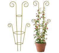 Treillis pour grimpantes d'intérieur | Support métallique de jardin pour | Piquets de soutien pour clématites, convient pour l'intérieur, l'extérieur, balcon et terrasse, Pothos