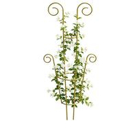Treillis pour grimpantes en extérieur Support Métallique À Grimpantes | Tuteurs Pour Clématites En Métal Pour balcon terrasse pothos monstera lierre clématite jardiniers
