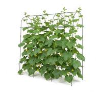 Relaxdays Treillis métal pour plantes grimpantes