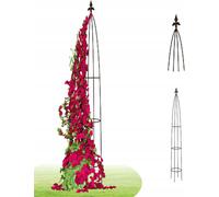 Treillis Spalier Arc de roses Support pour parterres de fleurs 180cm Acier Échafaudage grimpant