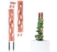 Treleaf Zella Kit de démarrage standard - Treillis extensible en bois pour plantes d'intérieur grimpantes d'intérieur - Support de plantes modulaire avec 2 bases + 2 rallonges - Alternative au poteau