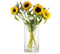 TREND FOR HOME Grand Vase a Poser au Sol en Verre 29 cm Vase Decoratif Cylindre Rond Cylindrique en Verre Transparent, 4900 ML, Ø 15.8 cm, Magnolia