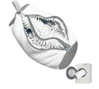 TrendGate 2 en 1 Sac Lavage Chaussures Machine à Laver, Nettoyage à 360° Réutilisable Double Zip Poches Sac de Lavage pour Chaussures pour Tous Les Types de Chaussures et Toutes Les Tailles - Blanc
