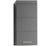 trendteam smart living Armoire de Toilette avec Espace de Rangement, Matériau en Bois, Gris Brillant, 37 x 77 x 89 cm