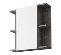 trendteam smart living 184650534 Armoire Murale de Miroir de Salle de Bains avec Espace de Rangement, Matériau en Bois, Pierre de béton, 60 x 62 x 79,5 cm