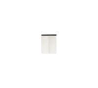 trendteam smart living Armoire Murale de Miroir de Salle de Bains avec Espace de Rangement, Matériau en Bois, Gris Brillant, 60 x 77 x 103 cm
