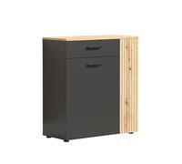 trendteam Smart Living - Esteban - Commode - chêne Anthracite - Meuble à Chaussures avec Espace pour jusqu'à 6 Paires de Chaussures - (l x H x P) 80 x 88 x 36 cm - Armoire à l'aspect rainuré élégant