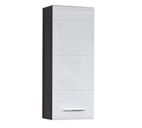 trendteam smart living Sardegna Armoire de Toilette avec Espace de Rangement, Line, 60 x 68 x 20 cm, Blanc Brilliant/Argenté fumé