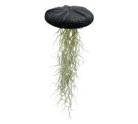 Trendyairplants - Méduse Végétale Géante Noire avec Oursin XXL et Mousse Espagnole - Tillandsia Suspendu - Décoration Naturelle Moderne et Élégante