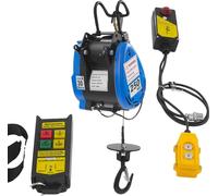 Treuil électrique, 230 V, puissance 1 500 W, longueur de câble 30 m, capacité de charge 250 kg, télécommande sans fil