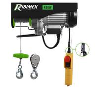 Treuil électrique, capacité de 100/200 kg, 480 W, câble de 12 mètres, 230 V