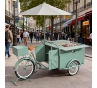 Tricycle mobile pour nourriture camion distributeur de jus, vente de nourriture de rue Tricycle avec auvent pour crème glacée, collations et boissons