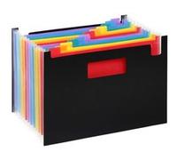 Trieur à 12 compartiments Viquel Rainbow Seatcase Noir Noir G