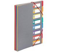 Trieur a4 8 compartiments Rainbow Touch Viquel Plastique Gris G