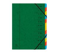 Exacompta - Réf. 54123E - Trieur agrafé avec élastiques 12 compartiments intérieur en carte recy couleur vive- onglets protégés - pour documents format A4 - couleur vert
