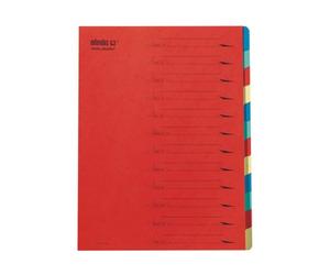 Trieur carte Extendos 12 divisions rouge