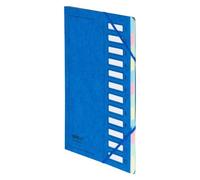 Trieur carte Extendos à fenêtres 12 divisions bleu