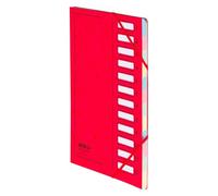 Trieur carte Extendos à fenêtres 12 divisions rouge