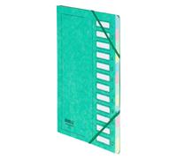 Trieur carte Extendos à fenêtres 12 divisions vert