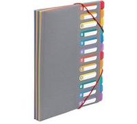 Trieur document A4 RAINBOW TOUCH Viquel Polypropylène Gris G