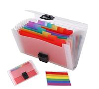Trieur Extensible Classeur Portable A6 Accordéon Organisateur de Document | avec 13 Compartiments Portable Chemise Trieur Plastique pour Carte Reçu Facture Chèque