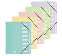 Trieur Oxford school life A4 8positions polypro opaque pastel assorti