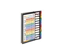 Trieur plastique extensible 12 onglets "School Case" Viquel Rainbow Class