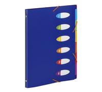Trieur plastique extensible Business HAPPY FLUO - Viquel 6 compartiments Format A4